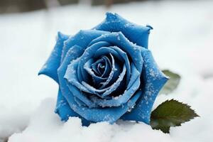 pittoresk blå reste sig fält i snö. generera ai foto