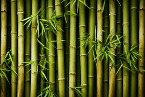frodig bambu skog. generera ai foto