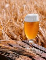 glas av blond öl på trä- tabell med solig vete fält foto