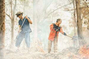 volontärer brand stridande team människor är släck skog bränder i torr skog träd varm sommar väder. foto