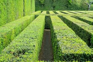 valsanzibio, Italien-april 15, 2023-labyrint inuti de monumental trädgård av valsanzibio, ett av de mest skön trädgårdar i Italien under en solig dag foto
