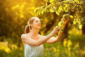 glad kvinna plockar ett äpple från ett träd