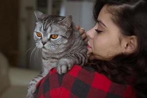 grå katt på axeln på en ung kvinna foto