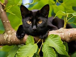 lugn katt vilar på en träd gren omgiven förbi frodig lövverk ai generativ foto