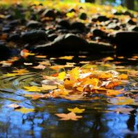 höst löv flytande i vatten - ai genererad foto