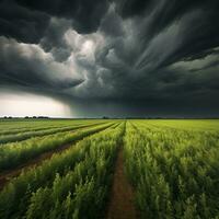 stormig himmel grön fält - ai genererad foto