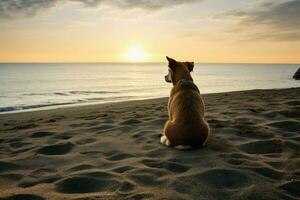 livliga hund strand. generera ai foto