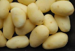potatisgrönsaker i ett badkar foto