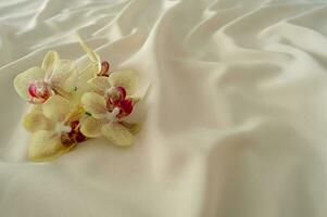 tropisk orkidéer på slät lyx silke. minimal bakgrund begrepp. natur estetisk aning. foto