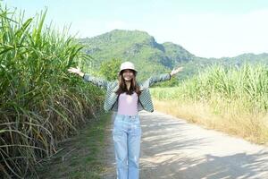 kvinna turister i sockerrör fält foto