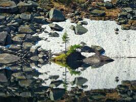 sten i klar berg sjö. snöig berg reflekterad i azurblå klar vatten av glacial- sjö. skön sommar bakgrund med Snövit glaciär reflexion i vatten yta av berg sjö. foto