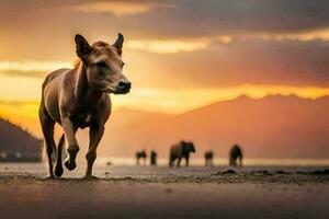 en häst gående på de strand på solnedgång. ai-genererad foto