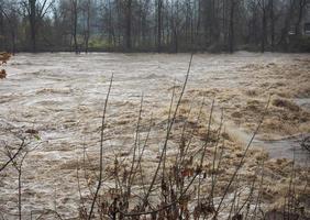 flod po flod i Turin foto