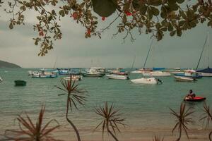 fiske båtar på de strand av de ö av koh samui foto