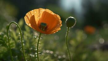 färsk gul daisy blommar i vibrerande äng, natur lugn skönhet genererad förbi ai foto