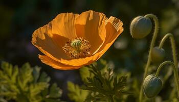 vibrerande gul blomma huvud blommar i de äng, lockar bin genererad förbi ai foto