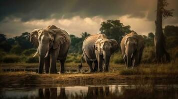 elefanter på en vattning hål i de kruger nationell parkera foto