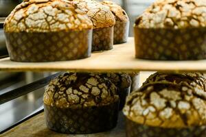 bakverk bagare hantverkare bakning små grupp av italiensk panettone ljuv bröd typisk för jul tid foto