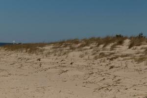 de sand sanddyner här tittade så skön med de gyllene lång gräs vinka i de vind. de Söt brun sand i mellan med en blå himmel ovan. detta bild var tagen i cape Maj ny jersey. foto