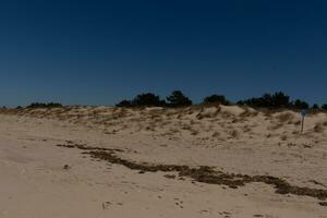 bild av solnedgång strand på cape Maj ny jersey. de skön blå himmel är i de distans. de brun sand Allt över med strand skräp och grön sand sanddyner i de tillbaka. foto