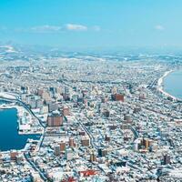 skön landskap och stadsbild från hakodate berg med snö i vinter- säsong. landmärke och populär för attraktioner i Hokkaido, japan.resor och semester begrepp foto