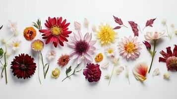 abstrakt organisk blommor blomning blommor tropisk växt blad blommig på vit på bakgrund foto