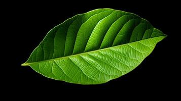färsk grön blad symbol av tillväxt och friskhet i natur foto