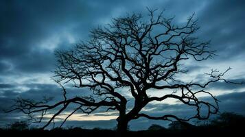 silhuett av träd mot lynnig himmel foto