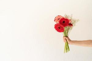 ljusa gerbera prästkragar i kvinnahand, minimal stil foto