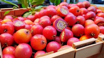 nyligen plockade mirakel frukt från trädgård placerad i de lådor. generativ ai foto