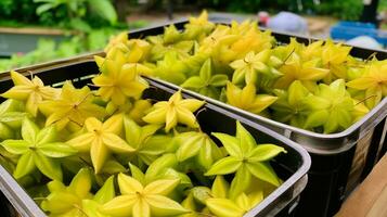 nyligen plockade carambola frukt från trädgård placerad i de lådor. generativ ai foto