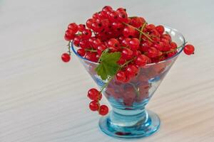 röd vinbär närbild på kvistar i en transparent vas på en ljus trä- tabell foto