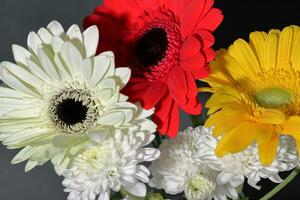 bukett av gerbera blommor på mörk bakgrund foto