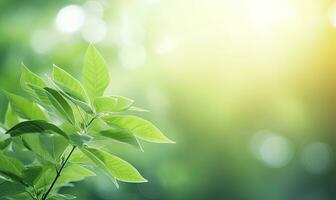frodig grön löv i fokus, tillhandahålla en färsk. ai generativ. foto