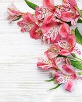 skön alstroemeria blommor på trä- bakgrund foto