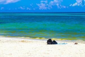 tropisk karibiska strand klar turkos vatten playa del carmen Mexiko. foto