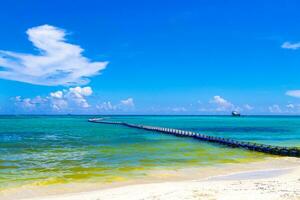 tång sargazo stoppare netto karibiska strand vatten playa del carmen Mexiko. foto