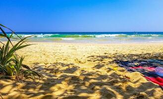 skön paradis tropisk strand vågor palmer mirissa strand sri lanka. foto