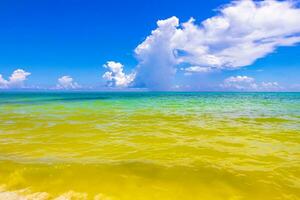 tropisk karibiska strand klar turkos vatten playa del carmen Mexiko. foto