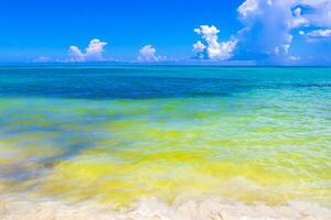 tropisk karibiska strand klar turkos vatten playa del carmen Mexiko. foto