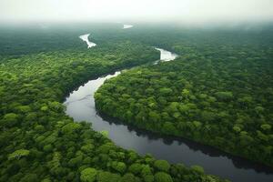 antenn se av de amazonas djungel landskap med flod böja. generativ ai foto