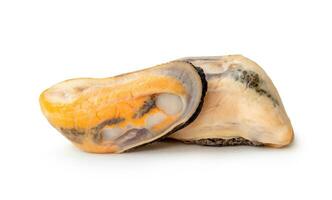 ångad eller kokta mat av färsk skön grön musslor kött i stack isolerat på vit bakgrund med klippning väg. hav mat foto