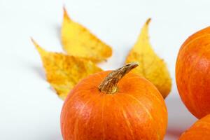 mogna pumpor och fallna gula löv på vit bakgrund. Hej höst. halloween och tacksägelsesymbol. foto