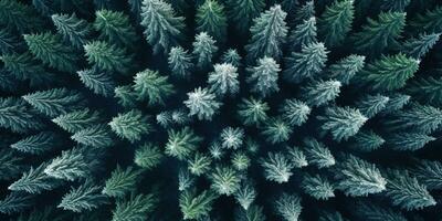 generativ ai, dimmig vinter- gran skog skön landskap i hipster årgång retro stil, vintergröna träd med visa foto