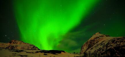 nordlig lampor i de himmel i Norge foto