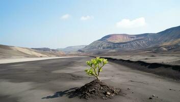 grön växt växande på svart vulkanisk jord. ai genererad. foto