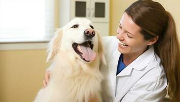 veterinär och gyllene retriever i veterinär klinik. hälsa vård begrepp. ai genererad. foto