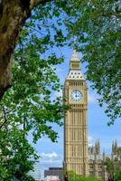 stor ben klocka på de hus av parlament Bakom träd grenar. London landmärke. foto