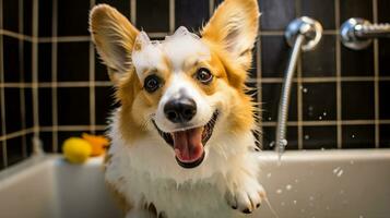 glad corgi hund njuter en bubbla bad, med dess tunga ut och en lekfull uttryck. generativ ai foto
