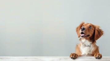 Lycklig hund, isolerat bakgrund med kopia Plats. generativ ai foto
